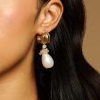 Trendy Earring 170885 Hot on Sale