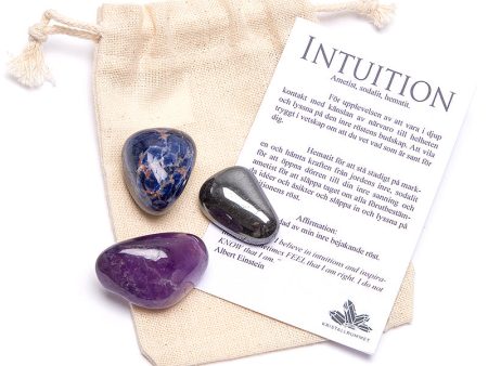 Intuition, intentionspåse Discount